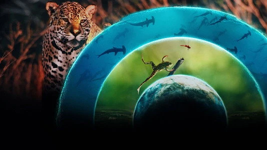Assistir Planeta Vivo - Online Grátis