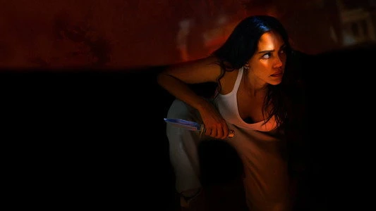 Assistir Alerta de Risco - Online Grátis